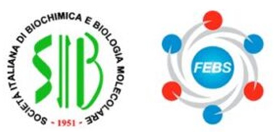 Meeting of PhD Students in Biochemical Sciences